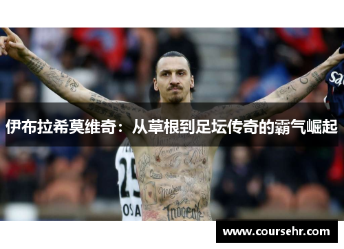 伊布拉希莫维奇：从草根到足坛传奇的霸气崛起