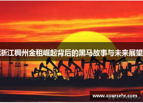 浙江稠州金租崛起背后的黑马故事与未来展望